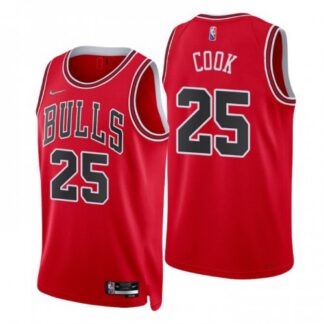 Nike Chicago Bulls #25 Tyler Cook Red Men’s 2021-22 NBA 75th Anniversary Diamond Swingman Jersey – Icon Edition Men’s