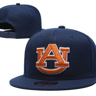 Auburn Tigers Team Orange Logo Navy Yellow Adjustable Hat GS